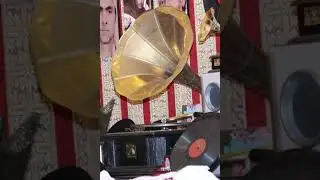 محمد التناك بوعلي قال بات القلب يترنم