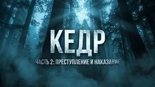 Операция кедр. Часть вторая. Преступление и наказание.