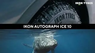 Флагманские зимние шипованные шины Ikon Autograph Ice 10