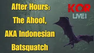 Indonesia's Mystery Cryptid: The Ahool, and other Bat-Like Cryptids!