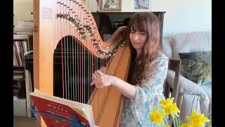 Dacw &lsquo;Nghariad (There is my Love)
