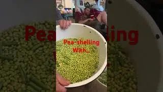 Using an old model  pea-sheller. She works like a charm! 😂 #peas #shorts