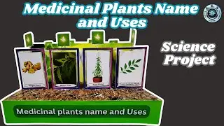 🌿 Medicine Plant Names & Uses | Natural Remedies & Benefits 🌱 #HerbalMedicine #diy #schoolproject