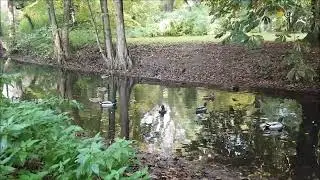 Das Göhlbachtal in Hamburg-Harburg