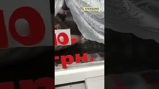 Ждуни сидять і чекають на орків. Лубни. Полтавщина. #shorts