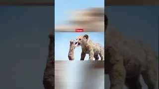 tera future set kar sakta hai(timon) #simba #thelionking #comedy #movie #shorts