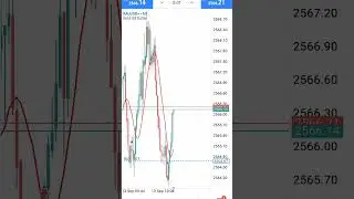 Transform Your Life With Forex Trading: Part 8 - The Ultimate Guide