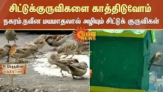 சிட்டுக்குருவிகளை காத்திடுவோம் ; நகரம் ,நவீன மயமாதலால் அழியும் சிட்டுக் குருவிகள் | Sparrows