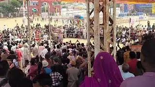 Camel festival dance