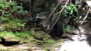 One of my favourite places in the world, Falls of Acharn