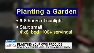 Planting The Produce Aisle in Your Own Front Yard