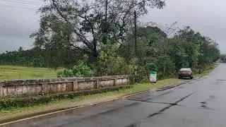 Lush green Masthikatte 💚