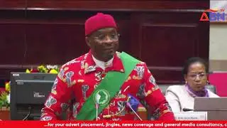 FULL SPEECH: Deputy Speaker Rt. Hon. Benjamin Kalu Addressed The Pan African Parliament (PAP)