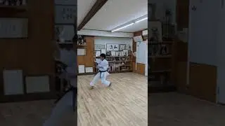 WANSHU - KARATE WADO KAI