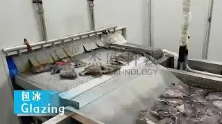 Unlock Perfect Quality: High Efficiency JET IQF Freezer for Aquatic Foods