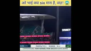 cricket ipl tik tok video///status