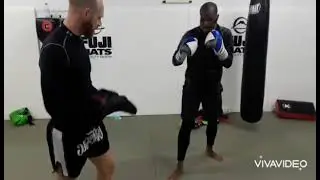 Pad Work