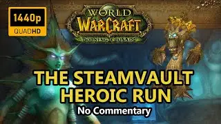 TBC Classic THE STEAMVAULT HEROIC RUN (stoned mode) 