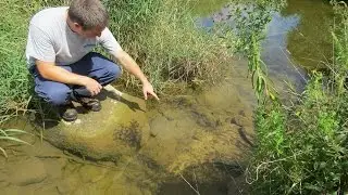 Удаление плотины для рыбы