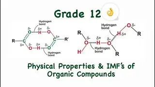 Grade 12 Organic Chemistry| Physical Properties of Organic Compounds