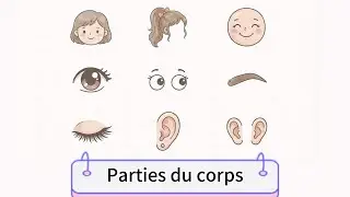 Learn Body Parts Vocabulary in French | 100 First Words for Beginners - Day 2
