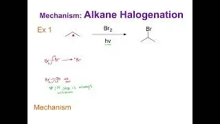 Alkane Halogenation - a Radical Reaction
