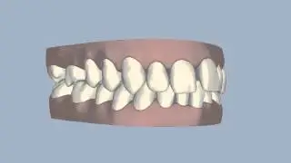 Ringwood Dental