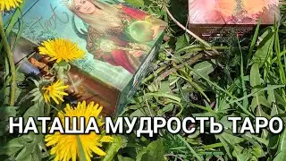Мои Лекции по Таро!