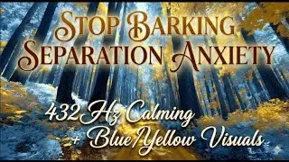 Stop Dog Barking & Separation Anxiety! Blue-Yellow Forest Visuals for Dogs to Relax.