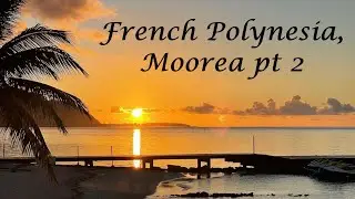Moorea, French Polynesia pt 2