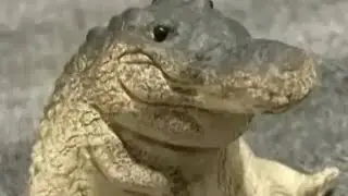 Me playing WAIL￼ vr 