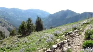 Trail View on the way to Polaris Pass