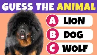 Guess 20 Animals | Animal Quiz Challenge | Hindi Quiz