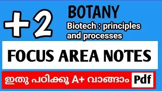 +2 Biology / Biotechnology: principles and processes / Focus Area notes