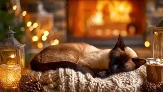 Gentle Sounds for Cats 🐱💤 Healing Music for Relaxation & Stress Relief