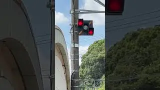 踏切反応灯点灯の瞬間!!!!