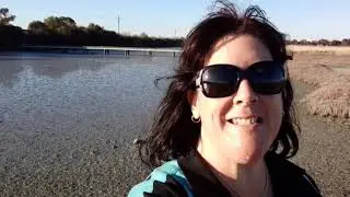 National Aquarium of New Zealand: Lessons with Jacque - Exploring the Ahuriri Estuary