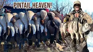 The MOST Pintail YOU&rsquo;VE Ever Seen! | Arkansas Duck Hunting Part 2