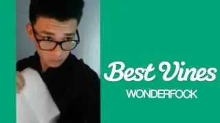 Recopilaci&oacute;n Los Mejores VINES 2017 - WONDERFOCK