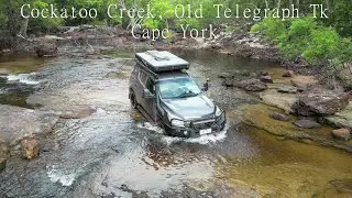 Cockatoo Creek, OTT Cape York Australia