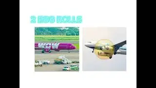who tf counts rice??? #jetliners #memes #airbusa400m #asianairlines #b787 #travel #funny #a320200