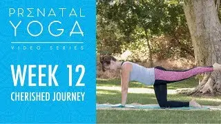 Week 12 - Cherished Journey - Prenatal Yoga Series