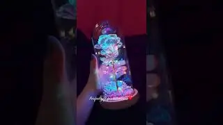 Galaxy Glass Rose Flower And Butterfly With LED Light Great Gift For Valentine's Day #valentinegift