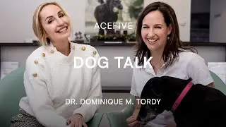 DOG TALK mit Dr. Dominique M. Tordy - Tipps für den Winter