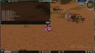 Rampapapm K&Uuml;F&Uuml;R LONEXMT2