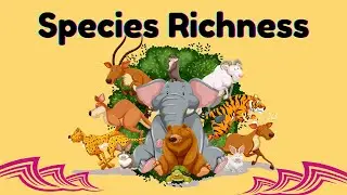 Species Richness: Why Counting Species Matters for Biodiversity & Ecosystem Health