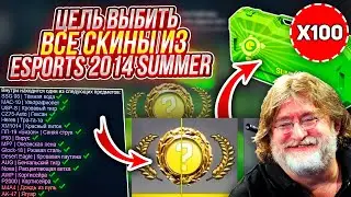 ЦЕЛЬ - ВЫБИТЬ СОВЕРШЕННО ВСЕ СКИНЫ ИЗ КЕЙСА ESPORTS 2014 SUMMER CASE! А ведь ему почти уже 10 лет...