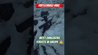 The H&uuml;rtgen Forest is still one of the most dangerous forests in Europe&nbsp;🪖⚠️ #ww2 #battlefield