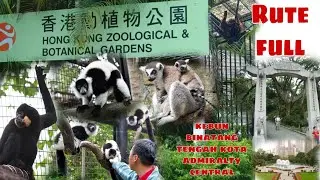 RUTE BOTANICAL GARDEN CENTRAL ADMIRALTY #botanicalgarden #zoologicalpark #hongkongzological