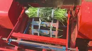 Automatic packing machine banding for vegetables